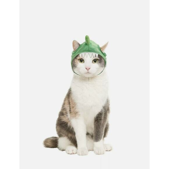 Hyde And Eek Dinosaur Green Costume Halloween Headpiece Hat One Size NWT - Picture 1 of 3